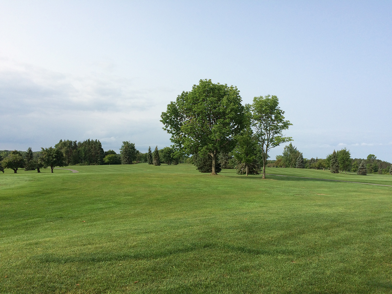 Lush green golf course fairway under a bright sky